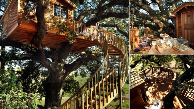 Illustration for article titled 13 Ingenious Treehouses That Go Out on a Limb